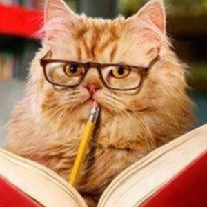 Meet your Posher, Brit